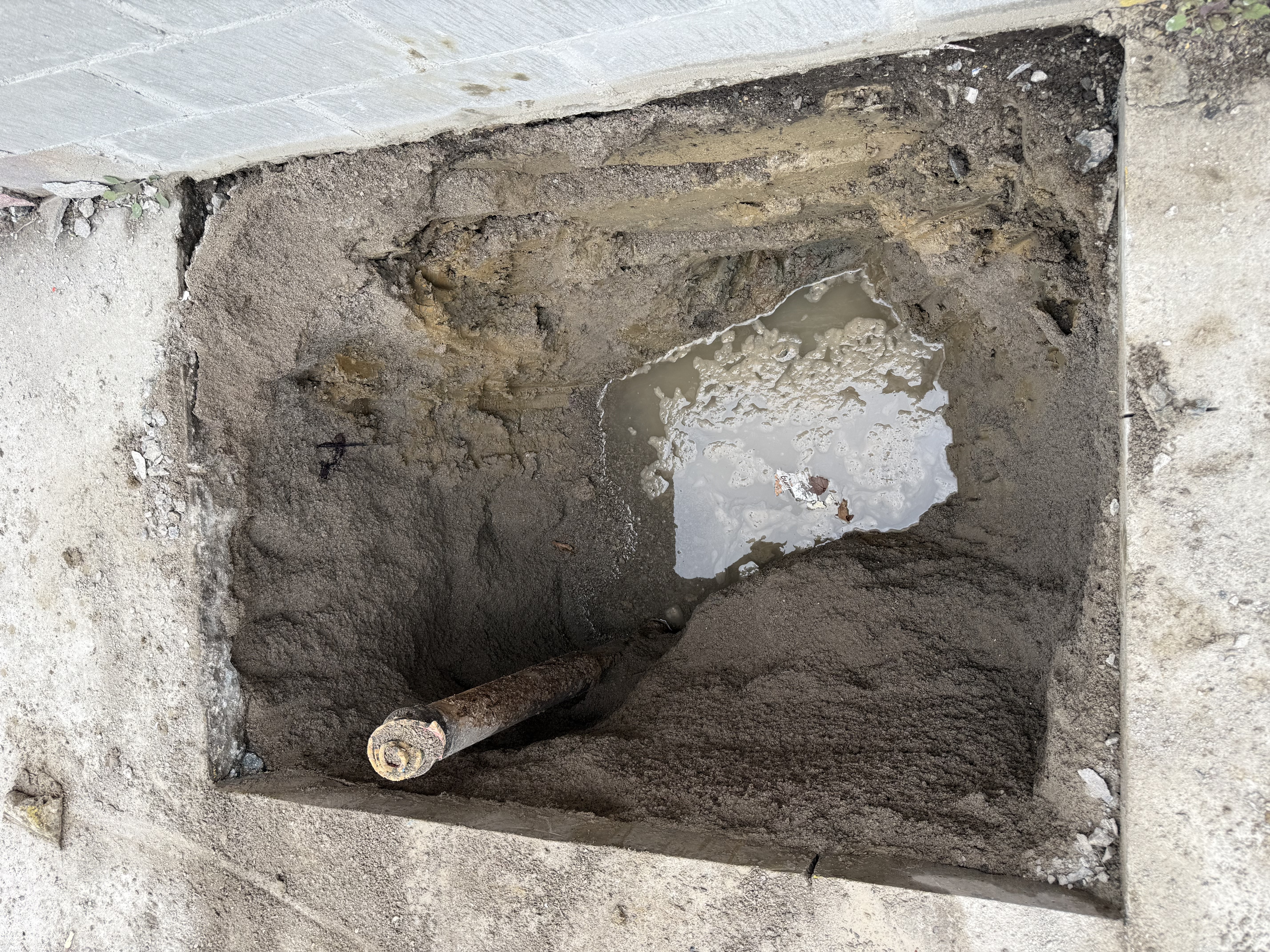 Exposing Failed Service Line